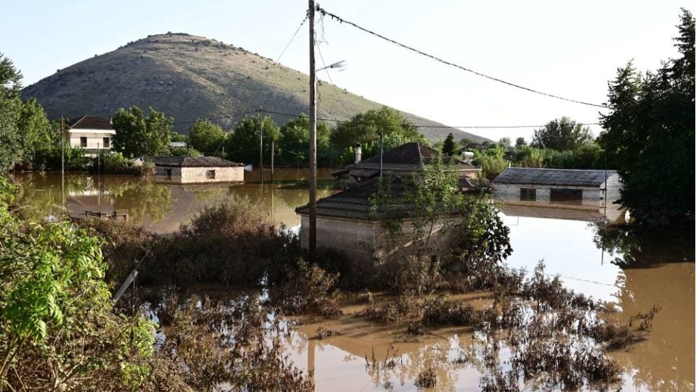 Καρδίτσα